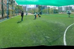 Turf Cricket